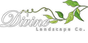 Divine Landscape Co. Logo
